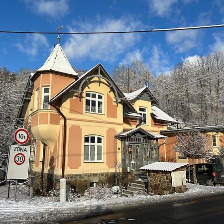 Apartmany Villa Magnolie Lipová-lázně Exterior foto